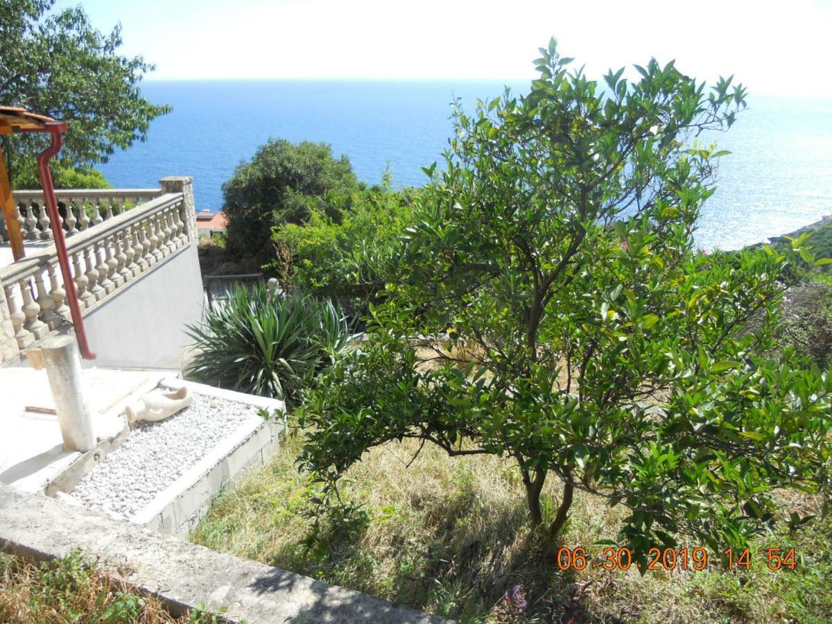 Blue Horizon Διαμέρισμα Dobra Voda Εξωτερικό φωτογραφία